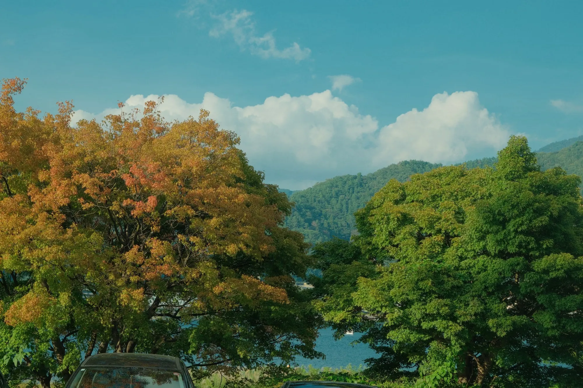 Lake Ashi, Hakone