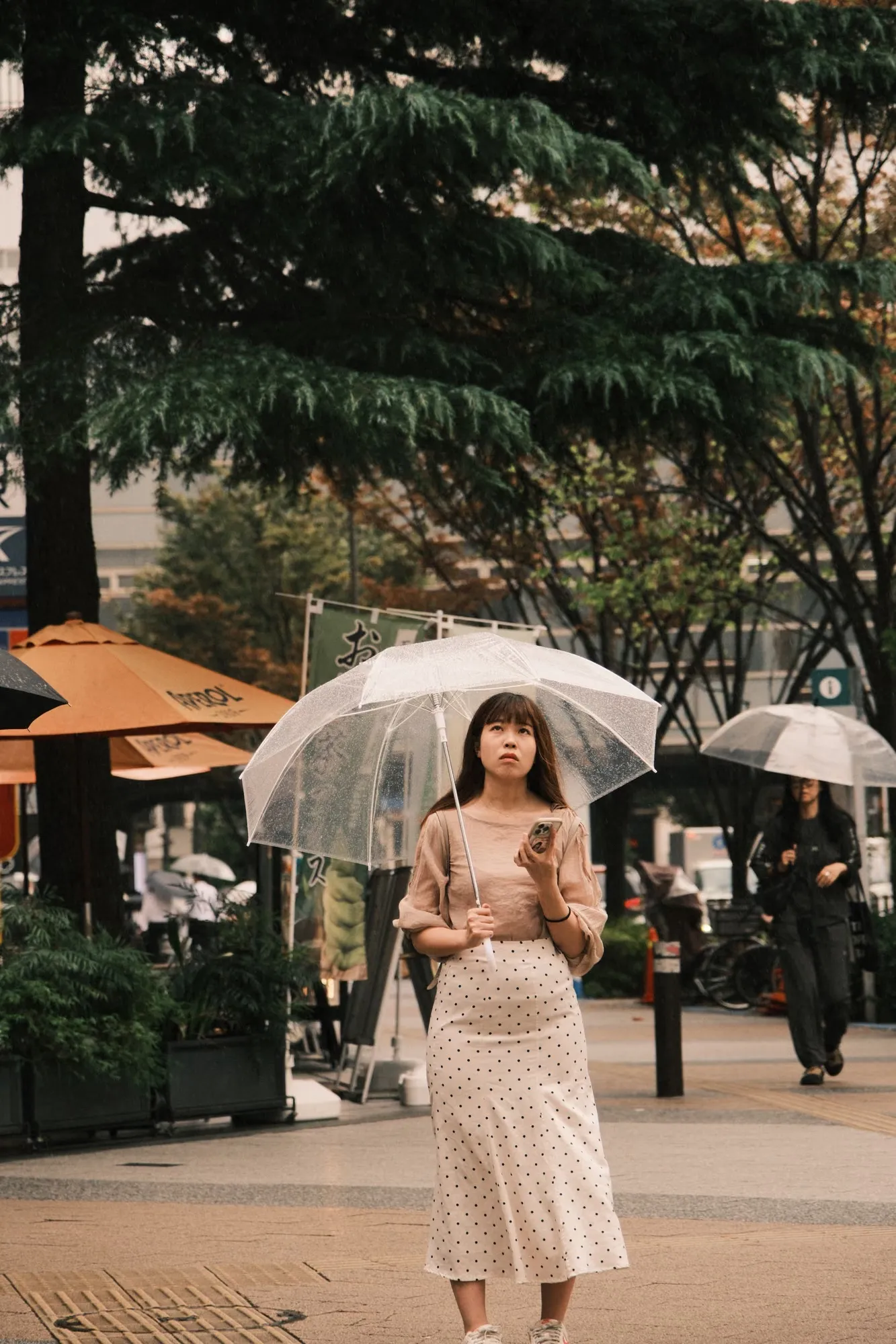 Rain, Umbrella